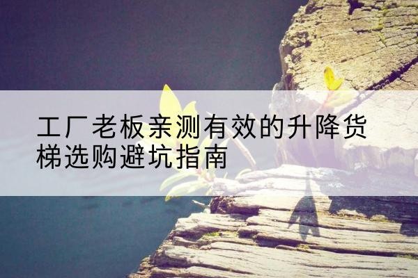 兰考升降货梯怎么选-工厂老板亲测有效的升降货梯选购避坑指南