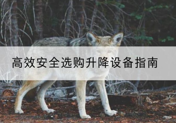 兰考升降货梯厂家推荐-*安全选购升降设备指南