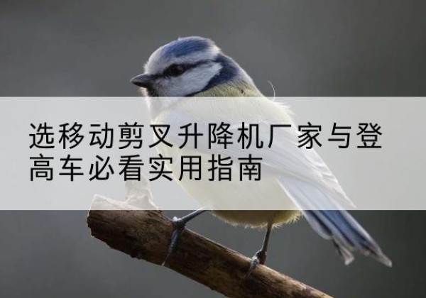 兰考电动升降机厂家-选移动剪叉升降机厂家与登高车必看实用指南