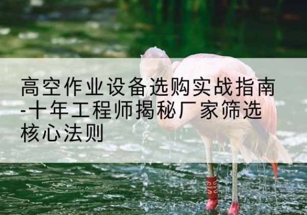 兰考剪叉式升降机厂家-高空作业设备选购实战指南-十年工程师揭秘厂家筛选核心法则
