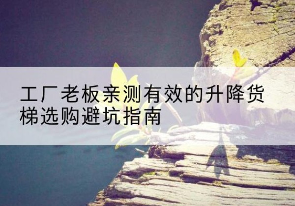 兰考升降货梯怎么选-工厂老板亲测有效的升降货梯选购避坑指南